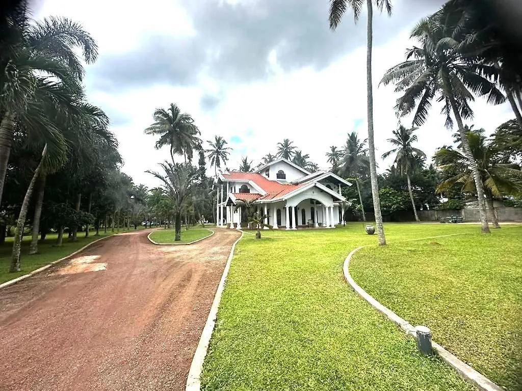 Villa Di Angelo Negombo 0*,