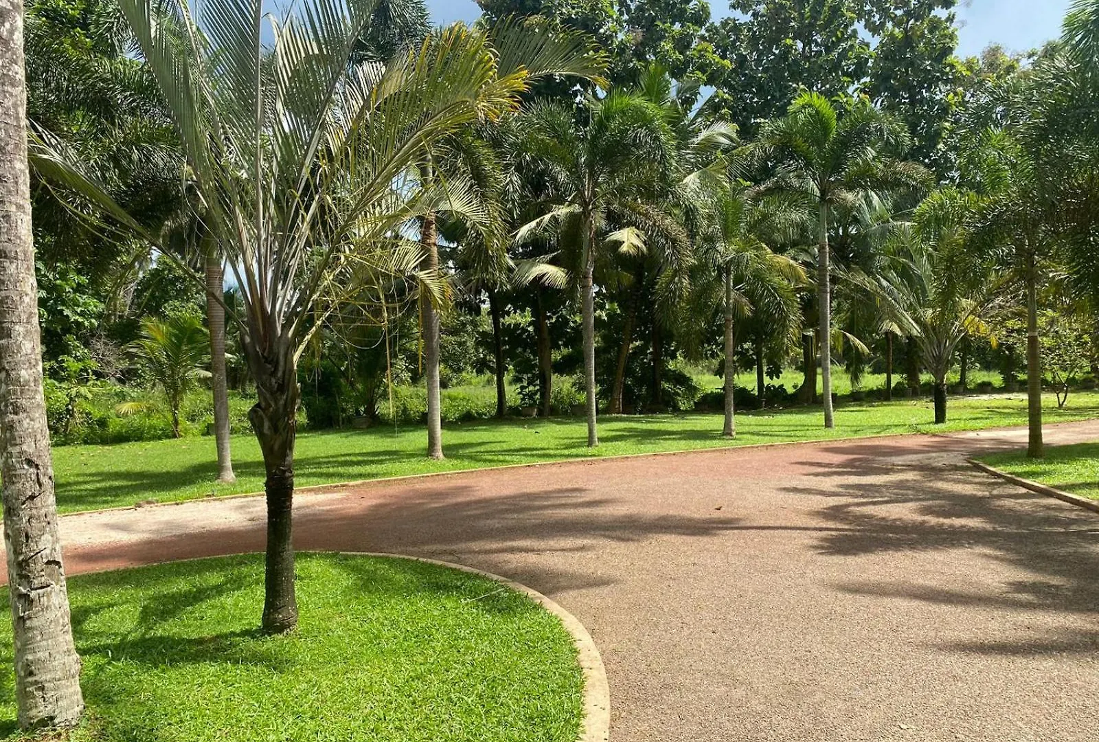 Bed & Breakfast Villa Di Angelo Negombo